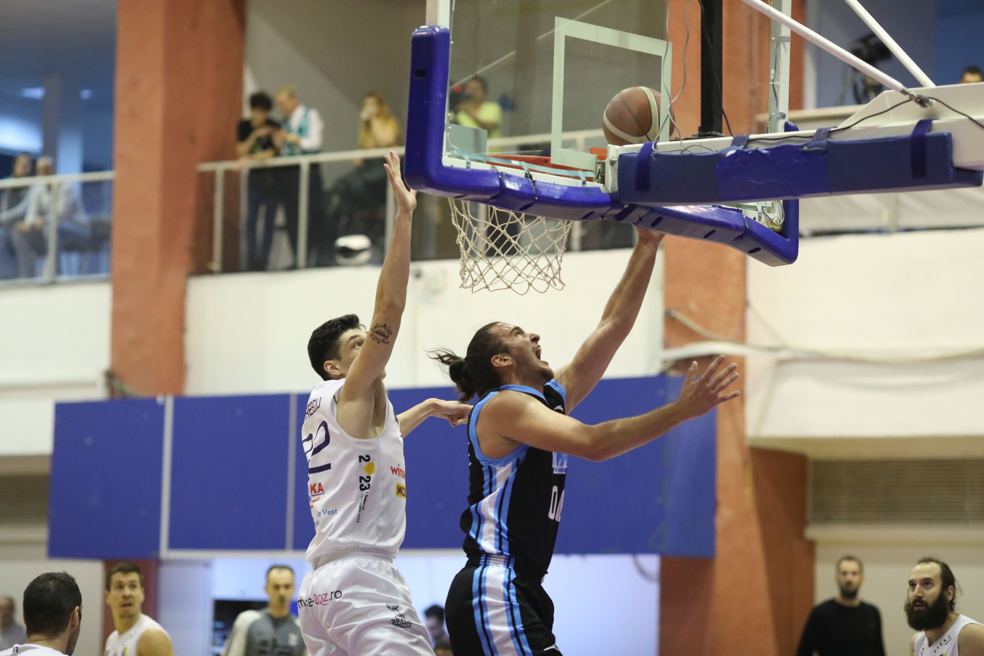 Timisoara on its way to the Final Four